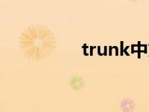 trunk中文翻译（trunk）