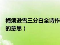 梅须逊雪三分白全诗作者（梅须逊雪三分白雪却输梅一段香的意思）