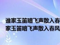谁家玉笛暗飞声散入春风满洛城中的暗飞声是什么意思（谁家玉笛暗飞声散入春风满洛城）