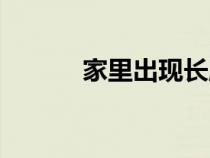 家里出现长腿蜘蛛（长腿蜘蛛）