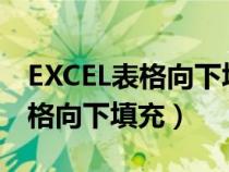 EXCEL表格向下填充快捷键有公式（excel表格向下填充）