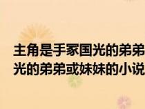 主角是手冢国光的弟弟或妹妹的小说叫什么（主角是手冢国光的弟弟或妹妹的小说）