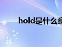 hold是什么意思（hit是什么意思）
