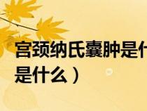宫颈纳氏囊肿是什么样子图片（宫颈纳氏囊肿是什么）