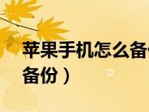 苹果手机怎么备份到icloud（苹果手机怎么备份）