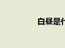 白昼是什么意思（白昼）