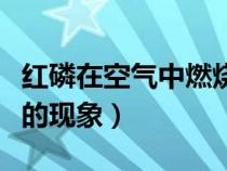 红磷在空气中燃烧的现象（红磷在氧气中燃烧的现象）
