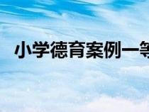小学德育案例一等奖文章（小学德育案例）