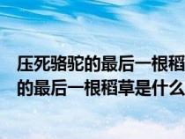 压死骆驼的最后一根稻草是什么意思一个男生说（压死骆驼的最后一根稻草是什么意思）