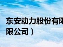 东安动力股份有限公司官网（东安动力股份有限公司）
