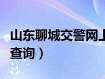 山东聊城交警网上服务大厅（聊城交警网违章查询）