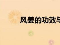 风姜的功效与作用及禁忌（风姜）