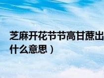 芝麻开花节节高甘蔗出土寸寸甜的意思（芝麻开花节节高是什么意思）