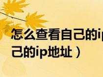 怎么查看自己的ip地址子网掩码（怎么查看自己的ip地址）