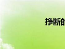 挣断的读音（挣断）