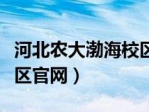 河北农大渤海校区官网首页（河北农大渤海校区官网）