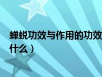 蝉蜕功效与作用的功效与作用（蝉蜕的功效与作用及禁忌是什么）