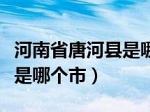 河南省唐河县是哪个市的城市（河南省唐河县是哪个市）