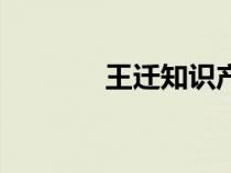 王迁知识产权法教程（王迁）