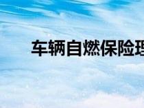 车辆自燃保险理赔（汽车自燃保险赔）