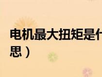 电机最大扭矩是什么意思（最大扭矩是什么意思）