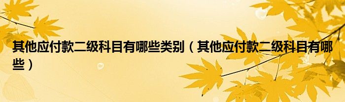 其他应付款二级科目有哪些类别（其他应付款二级科目有哪些）