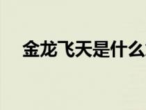金龙飞天是什么意思（飞天是什么意思）