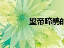 望帝啼鹃的典故概括（望帝）