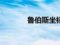 鲁伯斯坐标点（鲁伯斯坐标）
