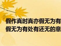 假作真时真亦假无为有处有还无出自哪本书（假作真时真亦假无为有处有还无的意思）