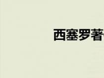 西塞罗著作（西塞罗简介）
