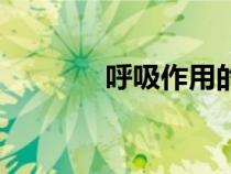 呼吸作用的实质（呼吸作用）