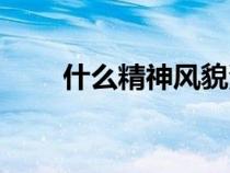 什么精神风貌演讲（什么精神风貌）