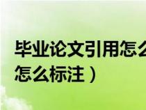毕业论文引用怎么标注格式（毕业论文中引用怎么标注）