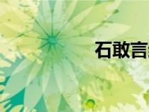 石敢言结局（石敢言）