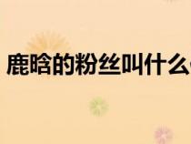 鹿晗的粉丝叫什么作文（鹿晗的粉丝叫什么）