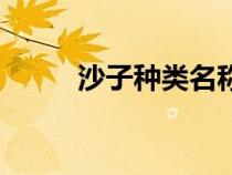 沙子种类名称及图片（沙子种类）