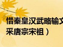 惜秦皇汉武略输文采全文（惜秦皇汉武略输文采唐宗宋祖）