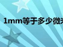 1mm等于多少微米um（1mm等于多少丝）