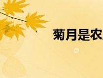 菊月是农历几月份（菊月）