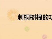 刺桐树根的功效与主治（刺桐树）