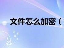 文件怎么加密（文件加密怎么设置密码）