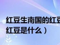 红豆生南国的红豆是什么豆子（红豆生南国的红豆是什么）