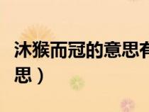沐猴而冠的意思有哪几个生肖（沐猴而冠的意思）