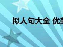 拟人句大全 优美摘抄六年级（拟人句）