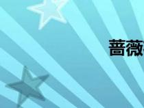 蔷薇花花语（蔷）
