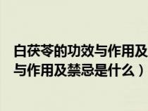 白茯苓的功效与作用及禁忌是什么用及禁忌（白茯苓的功效与作用及禁忌是什么）