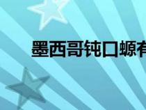 墨西哥钝口螈有毒吗（墨西哥钝口螈）