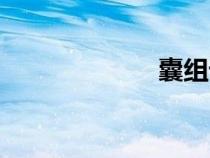 囊组词（难组词）