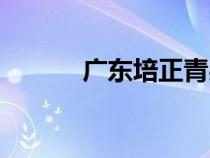 广东培正青果网（培正青果网）